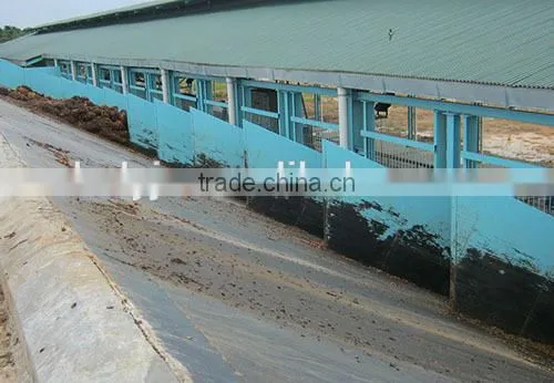 palm kernel oil processing plant, palm oil pressing machine in Indonesia