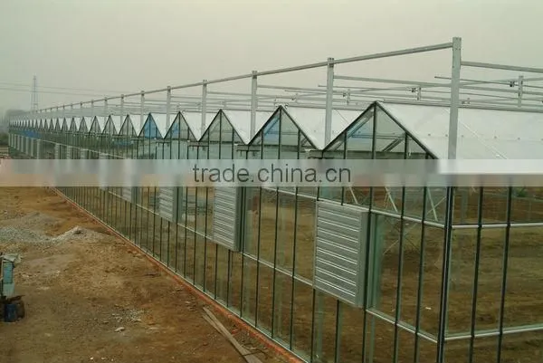 Venlo Type Glass Greenhouse