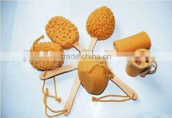 compressed facial cleansing sponges