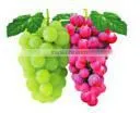 creative pure natural fruit and vegatble juice face mask machine Chinese Manufacture