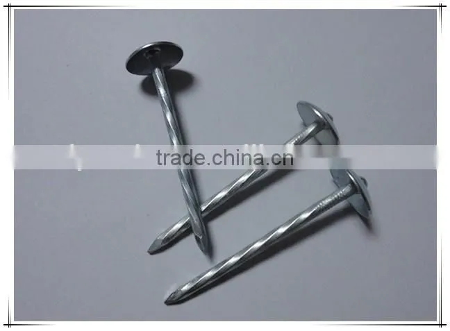 Large head roofing nail china nail factory price from China