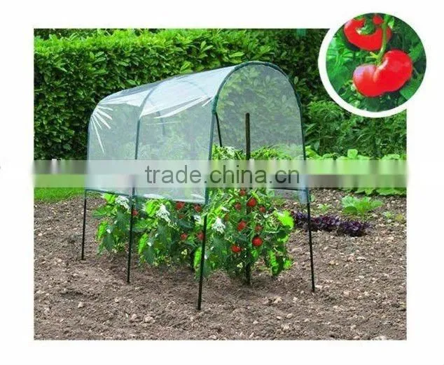 hobby greenhouse