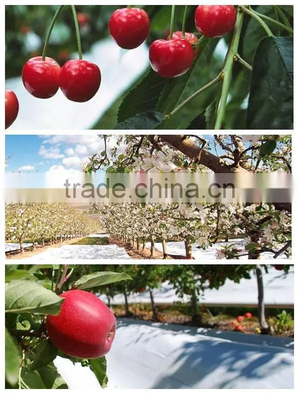 high quality silver reflective ground cover mat
