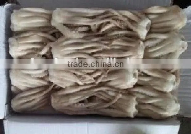 Frozen Illex Squid Tentacle