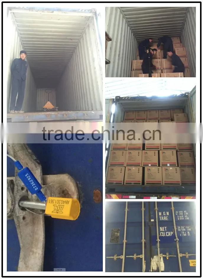 1KW 154F 2.5HP 110v/220v Gasoline engine Generator/mikano generators