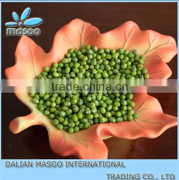 High qualtiy Green Mung Bean for sprouting,2012 crop