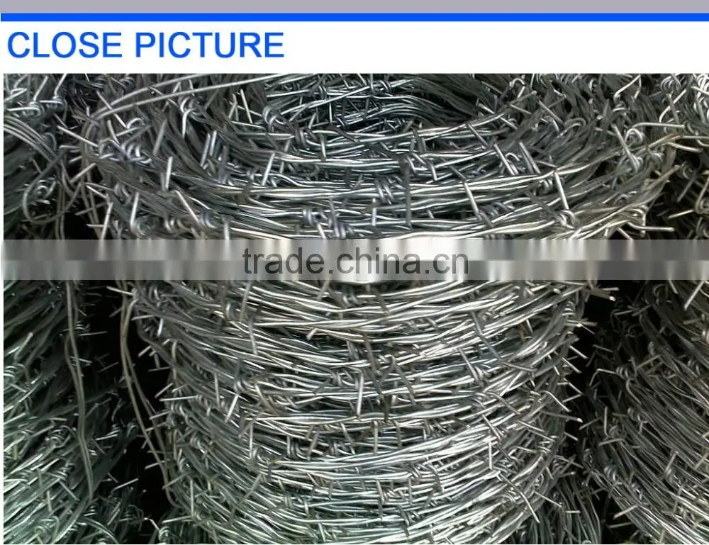 protection hot dip 14 gauge galvanized barbed wire