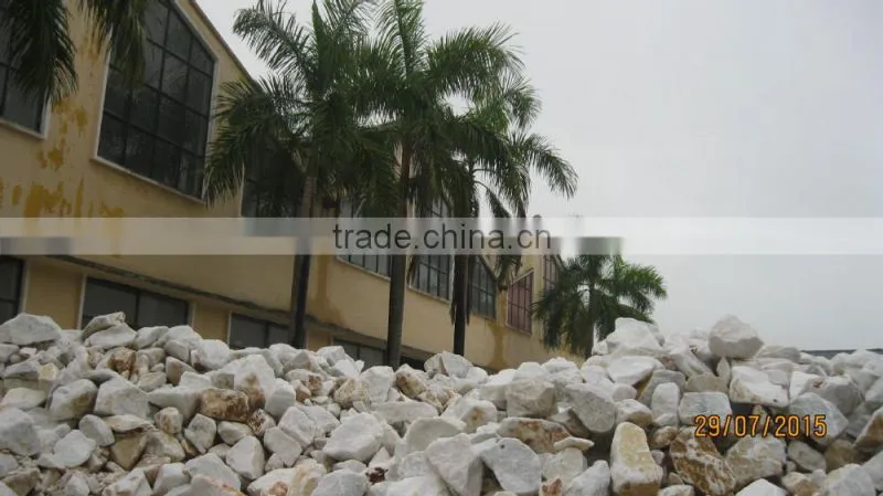 Calcium Carbonate purest (98.5% CaCO3) for paper