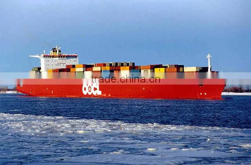 shanghai warehousing to tampa