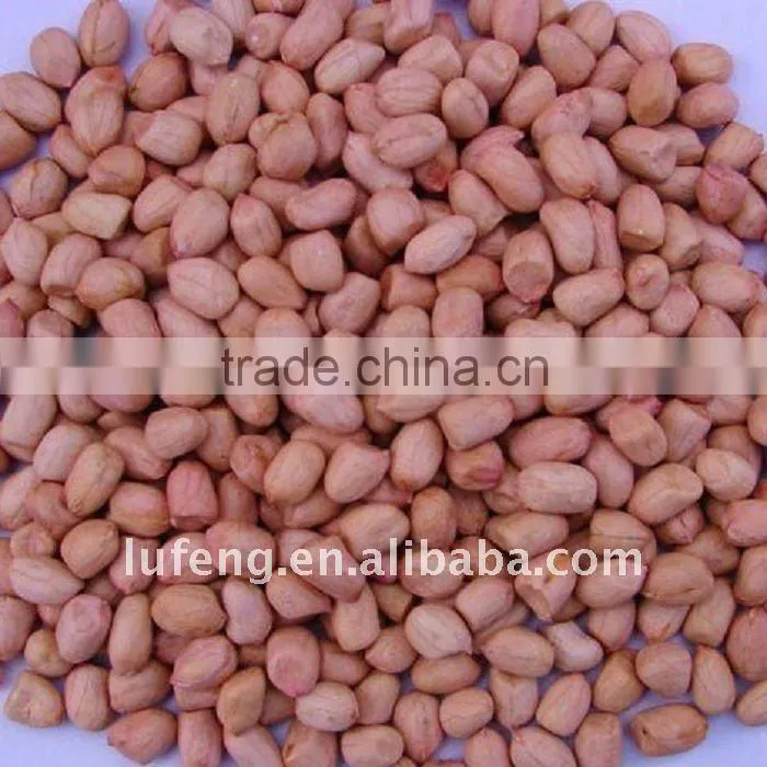 Shandong Roasted peanut inshell