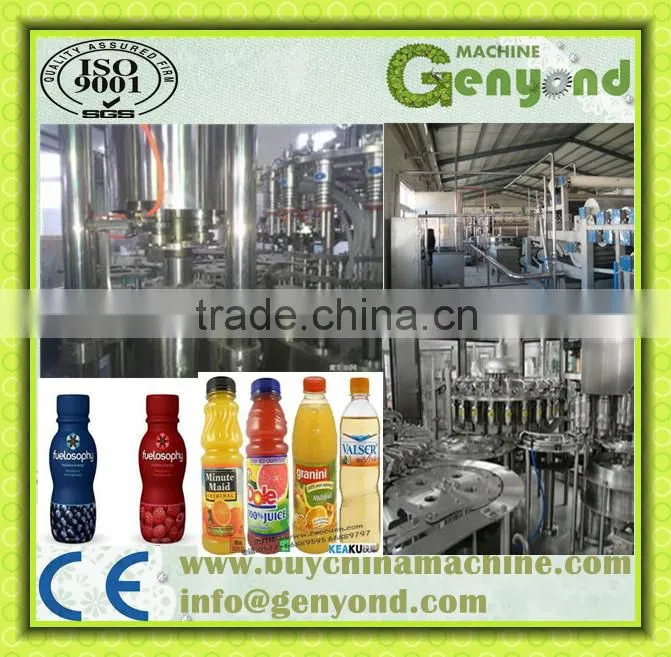 New Professional Fruit Juice Production Line for apple,pear,orange etc with factory price