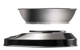 Stainless Steel household scale for kitchen