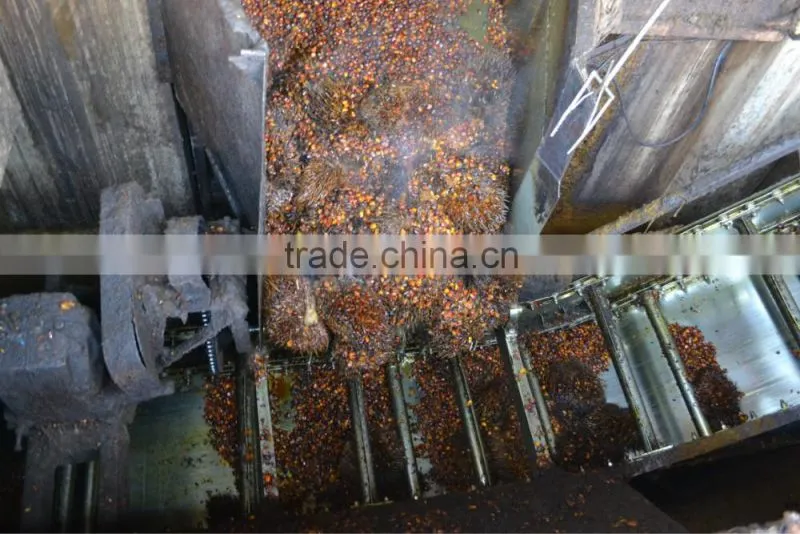 palm oil press machine provided by the professional manufacturer