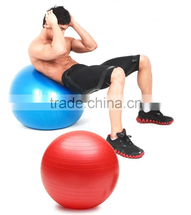 65cm Diameter Gym Ball/ Gym Equipment/ Rack