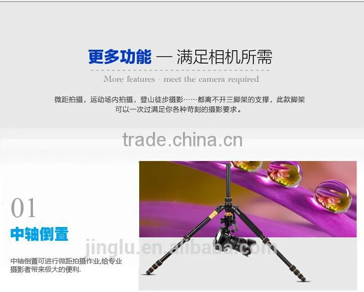QZSD-668 Portable Lightweight camera Tripod monopod