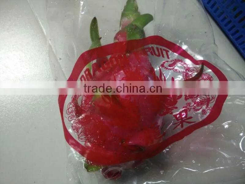 BEST PRICE FRESH DRAGON FRUIT