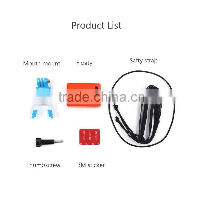 New arrive Go pro accessories hands free diving mouth mount for surfing, canoeing