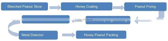 Snack Honey Coating Nut Sugar Flavoring Fried Peanut Sugaring Machine