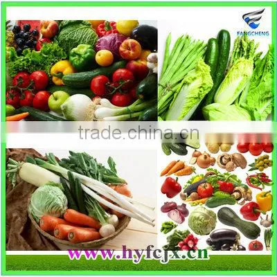 FC-0.5 Stainless Steel Automatic Electric Mango Juice Machine