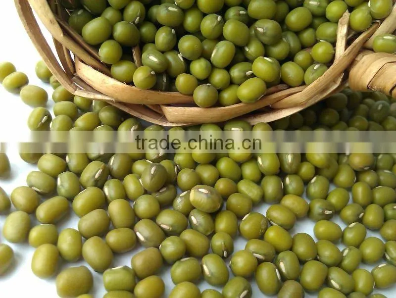 New Crop Green mung bean( sprouting type, 2012 crop, jilin origin, hps)