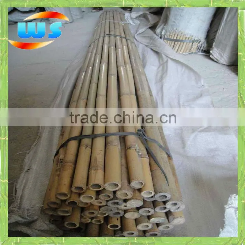 Bamboo pole