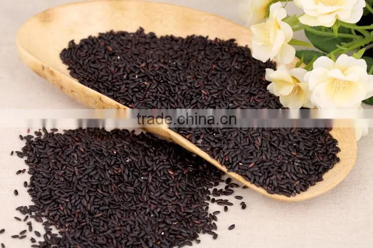 Chinese Health Black Rice with best quality