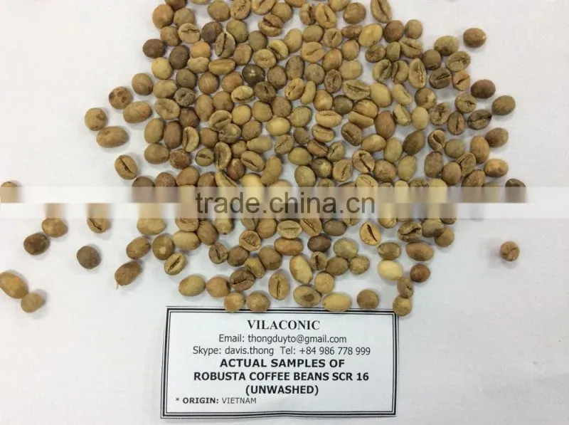 GREEN ROBUSTA COFFEE SCR 18 (skype: davis.thong, mobi: +84 986 778 999)