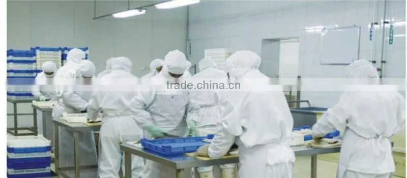 tuna fish canned tuna