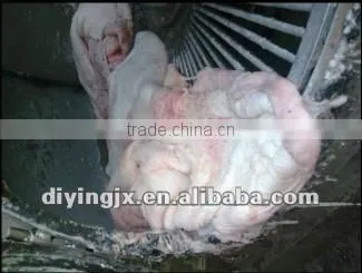 high quality and cheap sheep stomach Washing machine