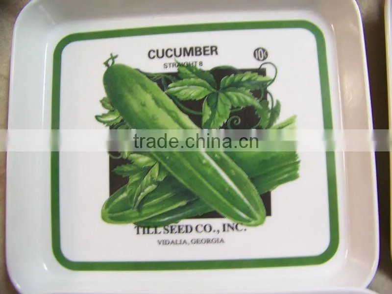high hardness transparent acrylic snack tray,acrylic food tray