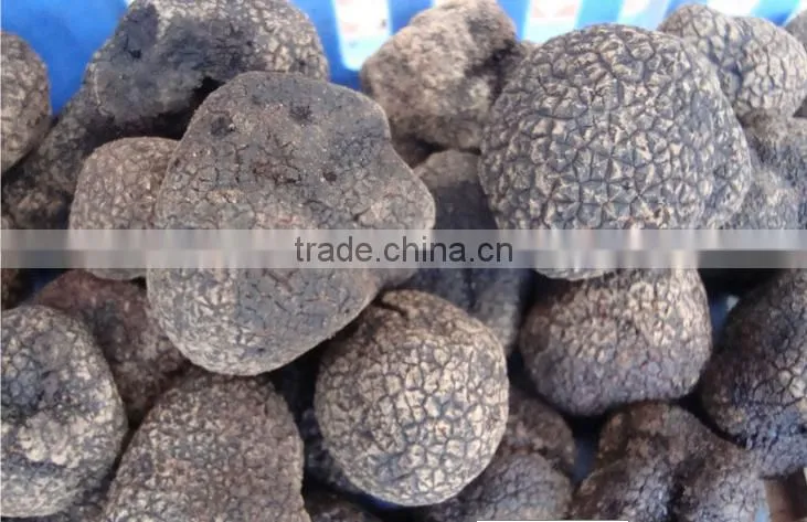 Frozen Black Truffle Grade A