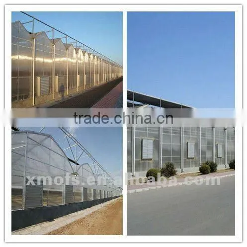 Wall Mounted Exhaust Fan :Greenhouse /Industrial