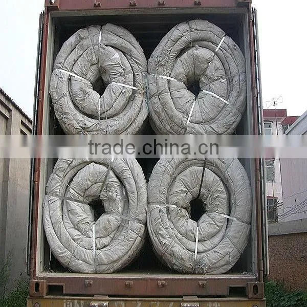 security blade fence/electro galvanized razor barbed wire/razor barbed wire