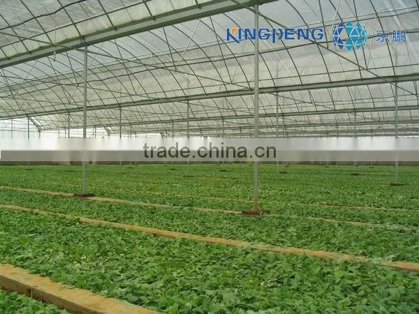 Tunnel greenhouse for sale