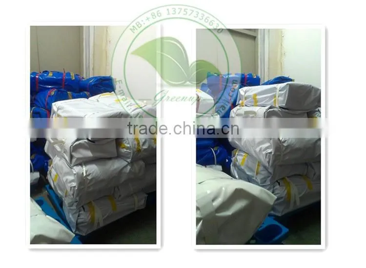 Useful Economic Vinyl Coated Tarpaulin Truck Cargo Box Tarpaulin Truck