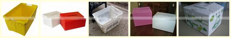 corrugated plastic bottle tray manufacturer