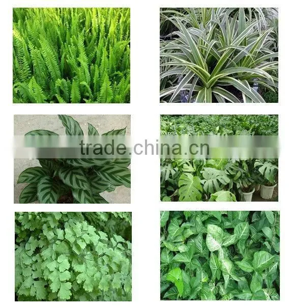 Vertical Garden Green Wall Vertical Garden Planters