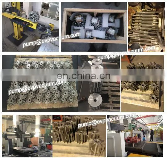 2bv2071 5hp equal to elmo liquid ring vacuum pump used in milking machine sold to Australia