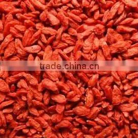 Organic Dried Goji Berry
