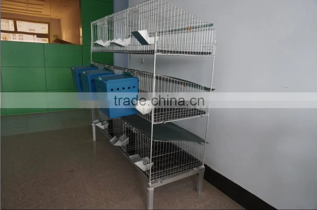 Wholesale automatic rabbit feeders in 10cm and 15cm in cage