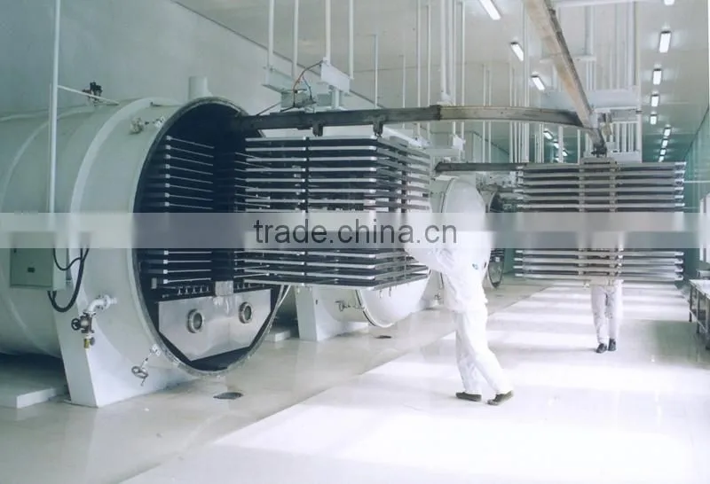 High quality freeze drying machine for sale