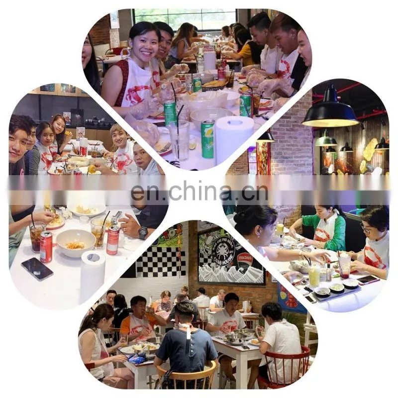 Customized Disposable Restaurant Plastic Bib for Adults
