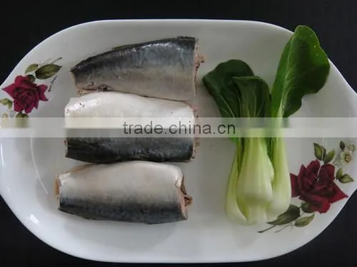 2016 Canned mackerel in brine