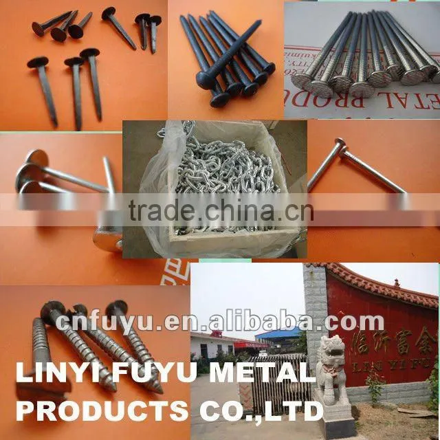 Roofing wire screw Nail company for decorate