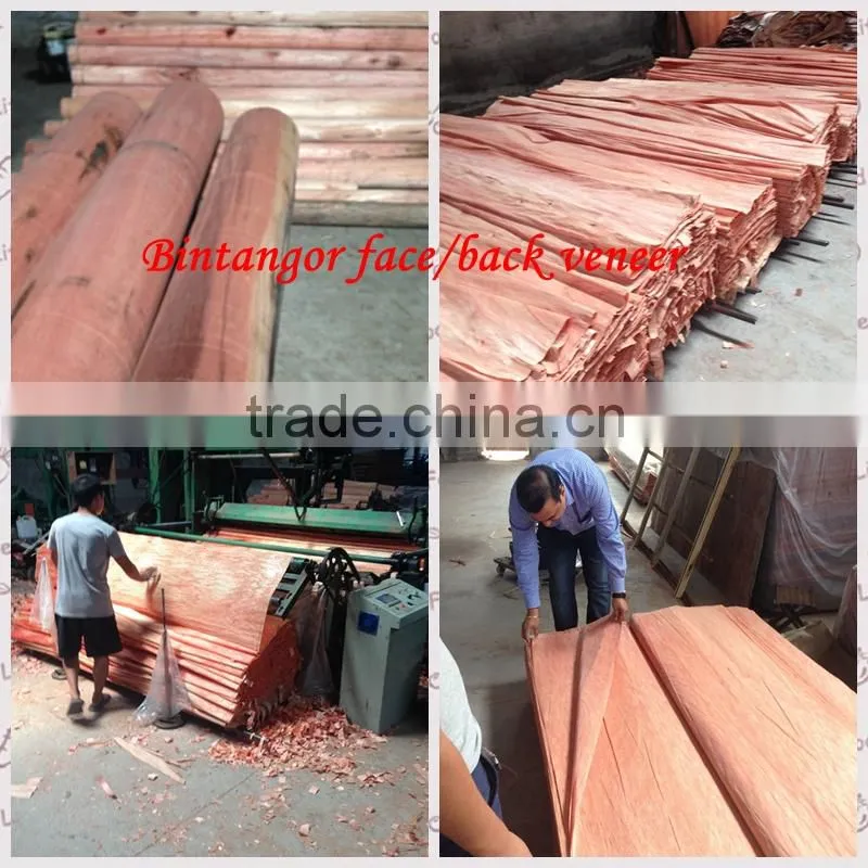 Water gum face veneer AB grade with best price Linyi factory professional manufactures