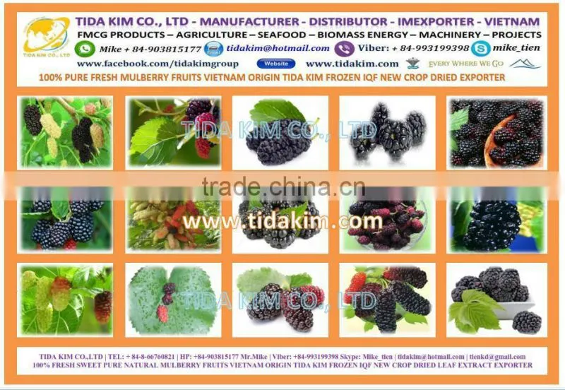 OREO BISCUIT TIDA KIM - OEM PRODUCTION - VIETNAM EXPORTER -MAIN DISTRIBUTOR INDO THAI