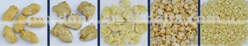 Texture soya meat protein machine