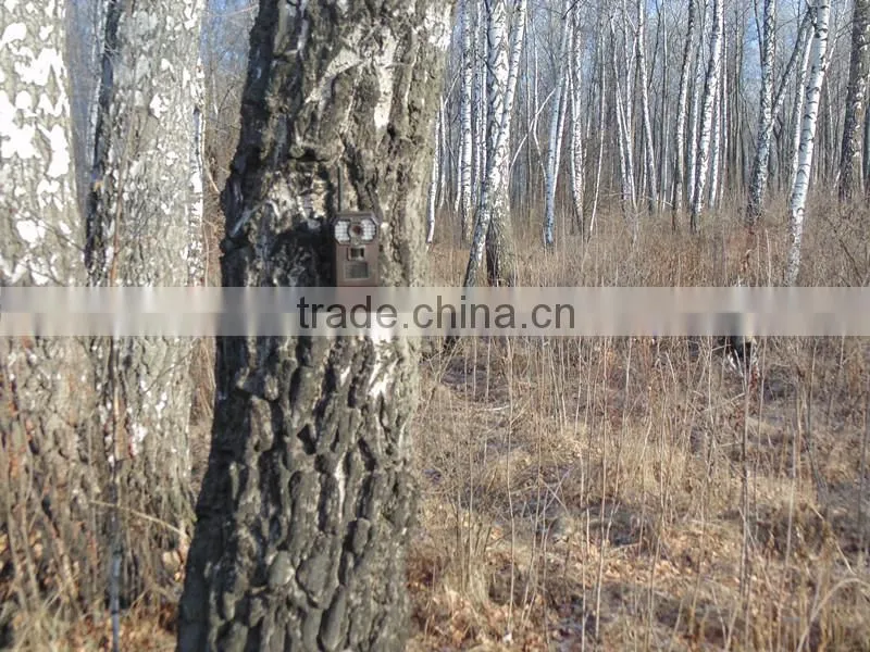 Hot Sale New Outdoor Full HD 1080P Sports Game Hunting Camera 1080P