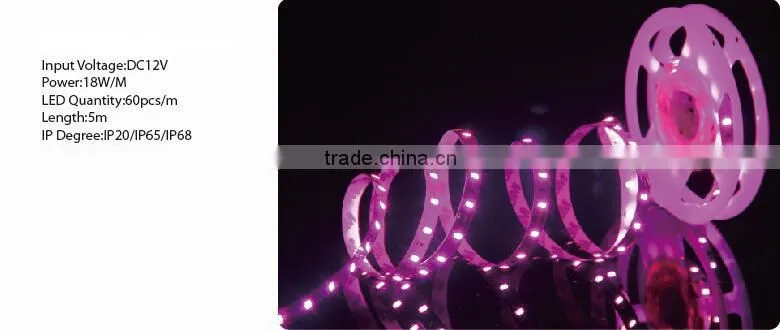 4.8W/M DC12V IP20/IP65/IP68 SMD3528 five color LED strip lighting