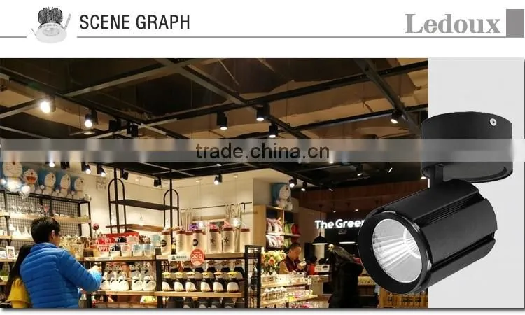 adjustable high power 30w cob led ceiling light